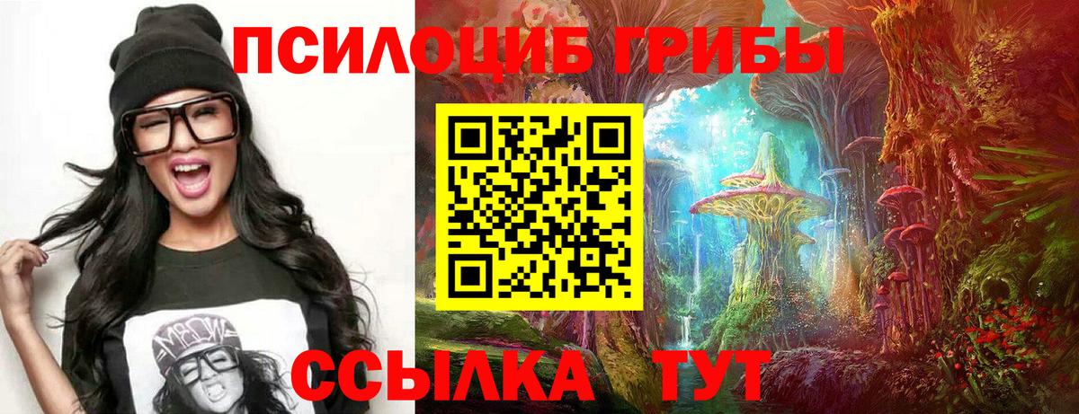 Галлюциногенные грибы Psilocybe Брянск